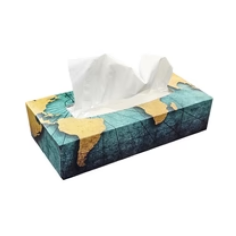 Facial Tissue - Flat Box - 100per box / 30 boxes per case
